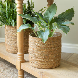 Seagrass Basket Plant Pot