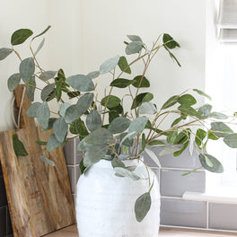 Grey Wash Eucalyptus Stem