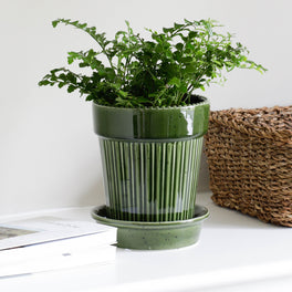 Green Plant Pot With Saucer