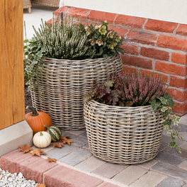 Curved Top Rattan Planter