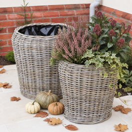 Tall Tapered Rattan Planter