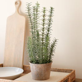 Faux Potted Rosemary Herb Plant