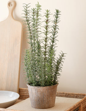 Faux Potted Rosemary Herb Plant