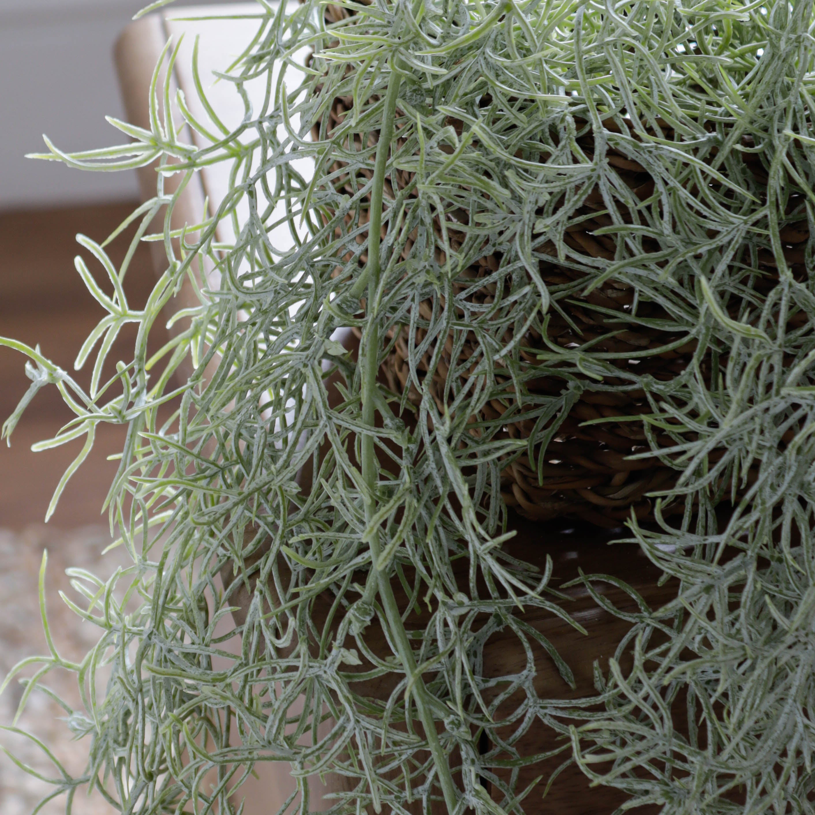 Spanish Moss In Pot, Faux Flowers