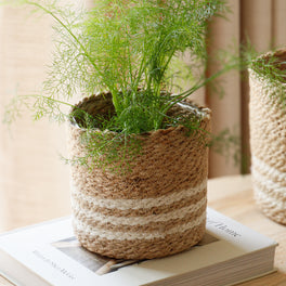 Jute Plant Pot With White Stripes