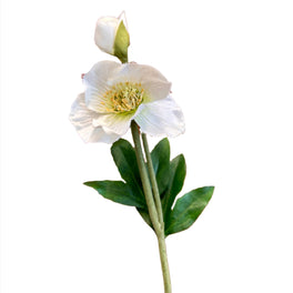 Sample Sale Faux Hellebore