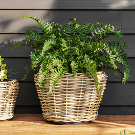Round Rattan Tapered Planter