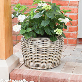 Curved Top Rattan Planter