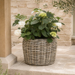 Curved Top Rattan Planter