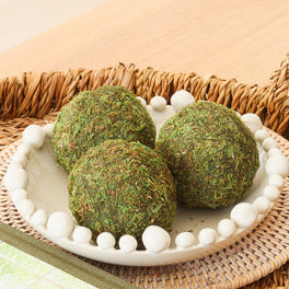 Decorative Moss Ball
