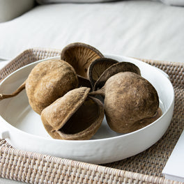 Five Dried Large Nut Pods