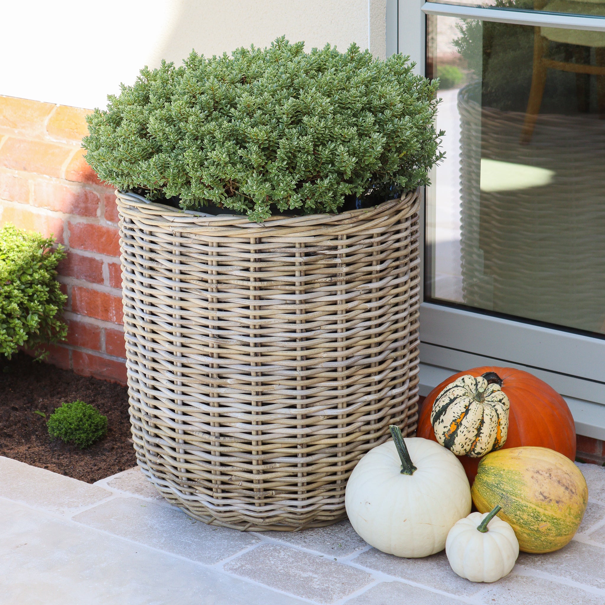 Extra Large Round Rattan Planter With Curved Base - Marquis & Dawe