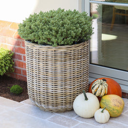 Extra Large Round Rattan Planter With Curved Base