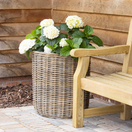 Extra Large Round Rattan Planter With Curved Base