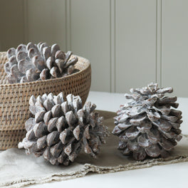 Large White Washed Pinecone
