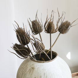 Faux Brown Teasel Stem