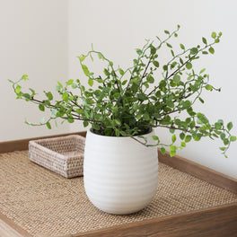 Faux Button Leaf Plant