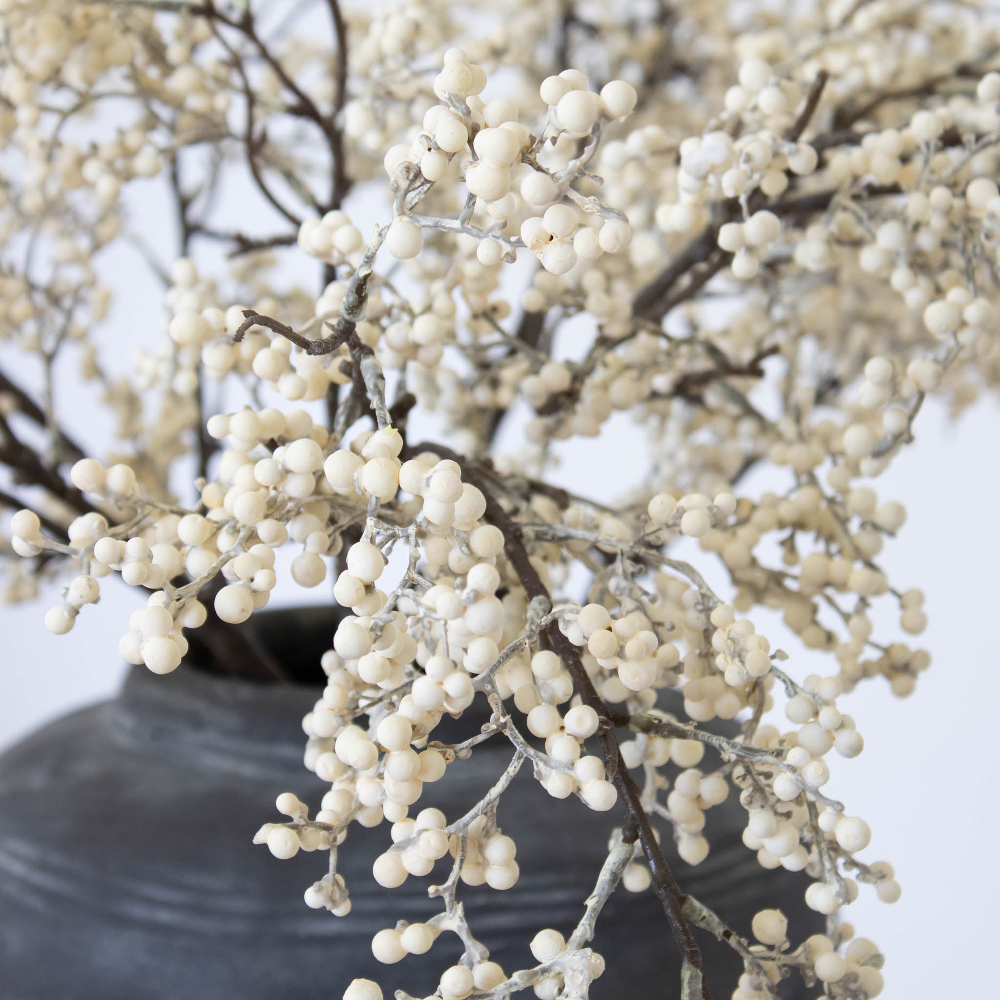 White Berry Stem 