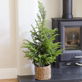 Faux Norfolk Pine Christmas Tree In Pot