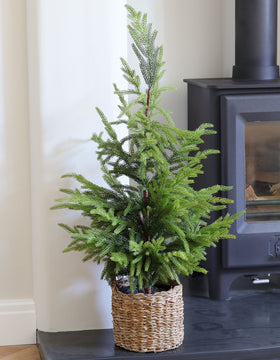 Faux Norfolk Pine Christmas Tree In Pot