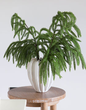 Faux Norfolk Pine Stem