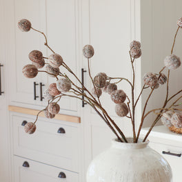 Faux Nut Pod Stem