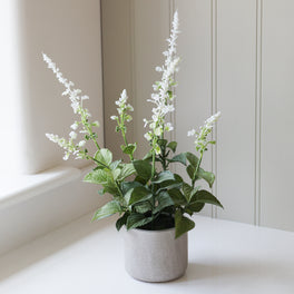 Faux Potted White Salvia Plant