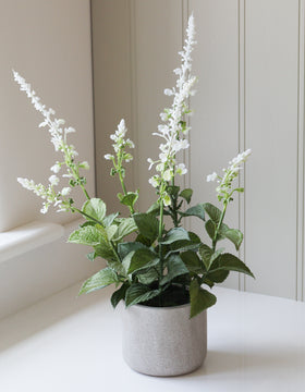 Faux Potted White Salvia Plant