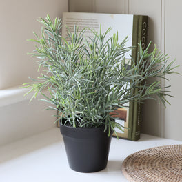 Faux Rosemary Plant
