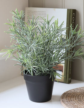 Faux Rosemary Plant