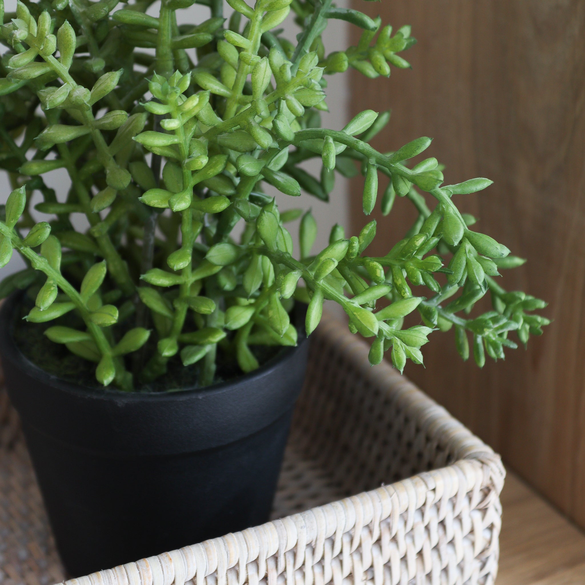 artificial succulent plants uk Faux Succulent Plant