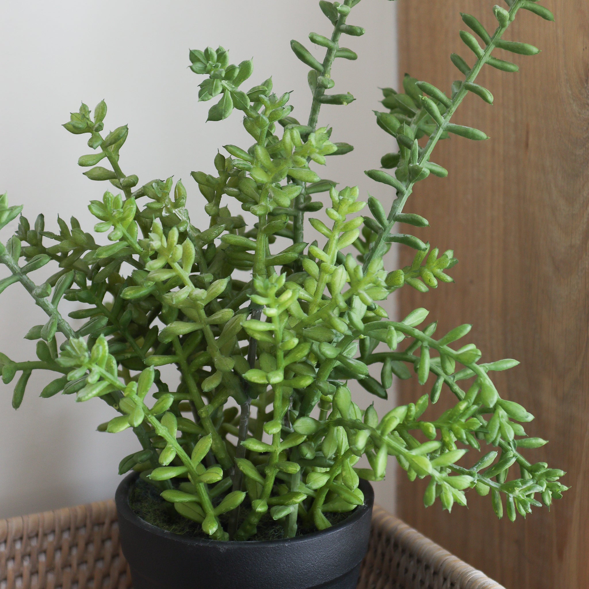 artificial succulent plants uk Faux Succulent Plant
