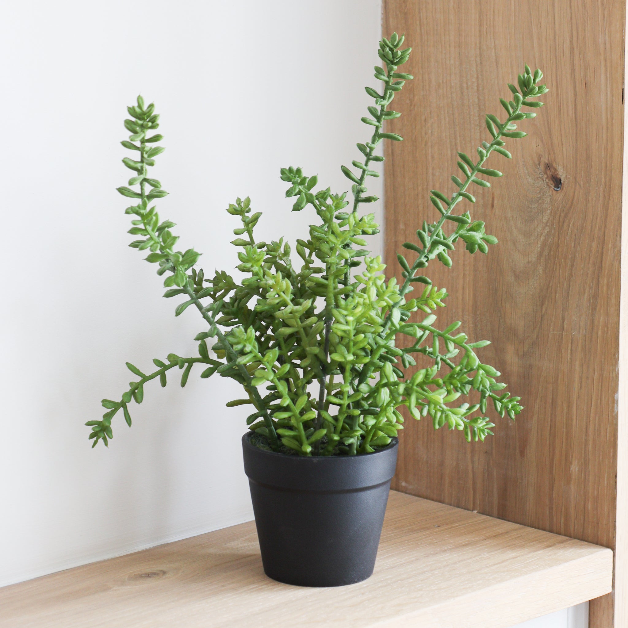 artificial succulent plants uk Faux Succulent Plant