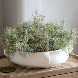 Large Ivory Decorative Bowl With Handles