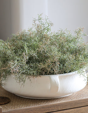 Large Ivory Decorative Bowl With Handles