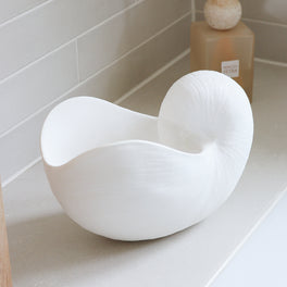 Large White Nautilus Shell