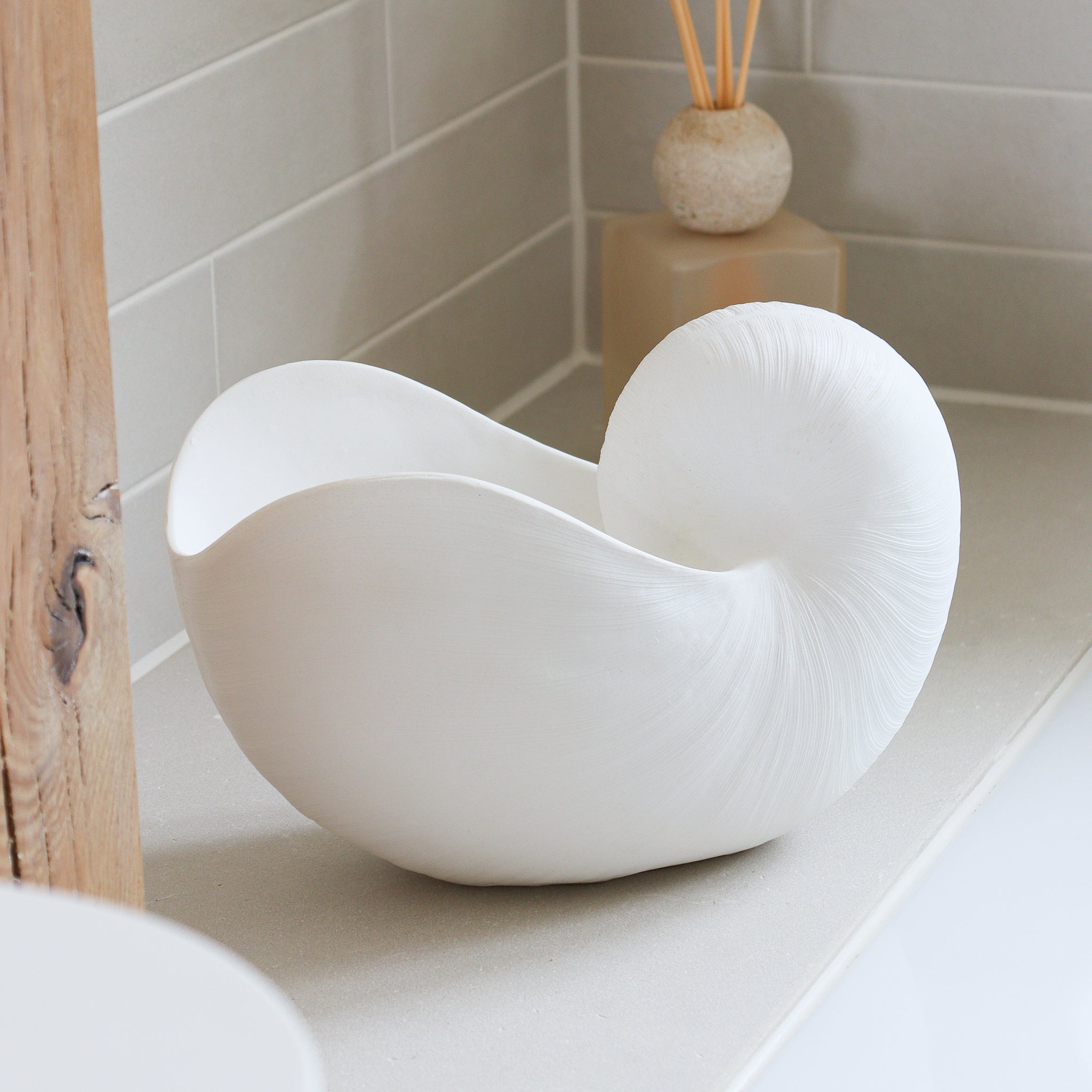 Decorative White Porcelain Shell - Marquis & Dawe