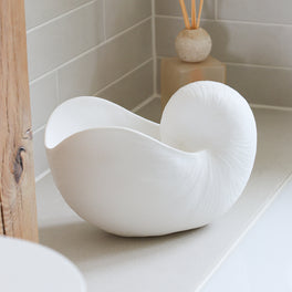 Large White Nautilus Shell