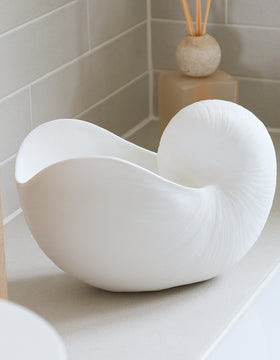 Large White Nautilus Shell