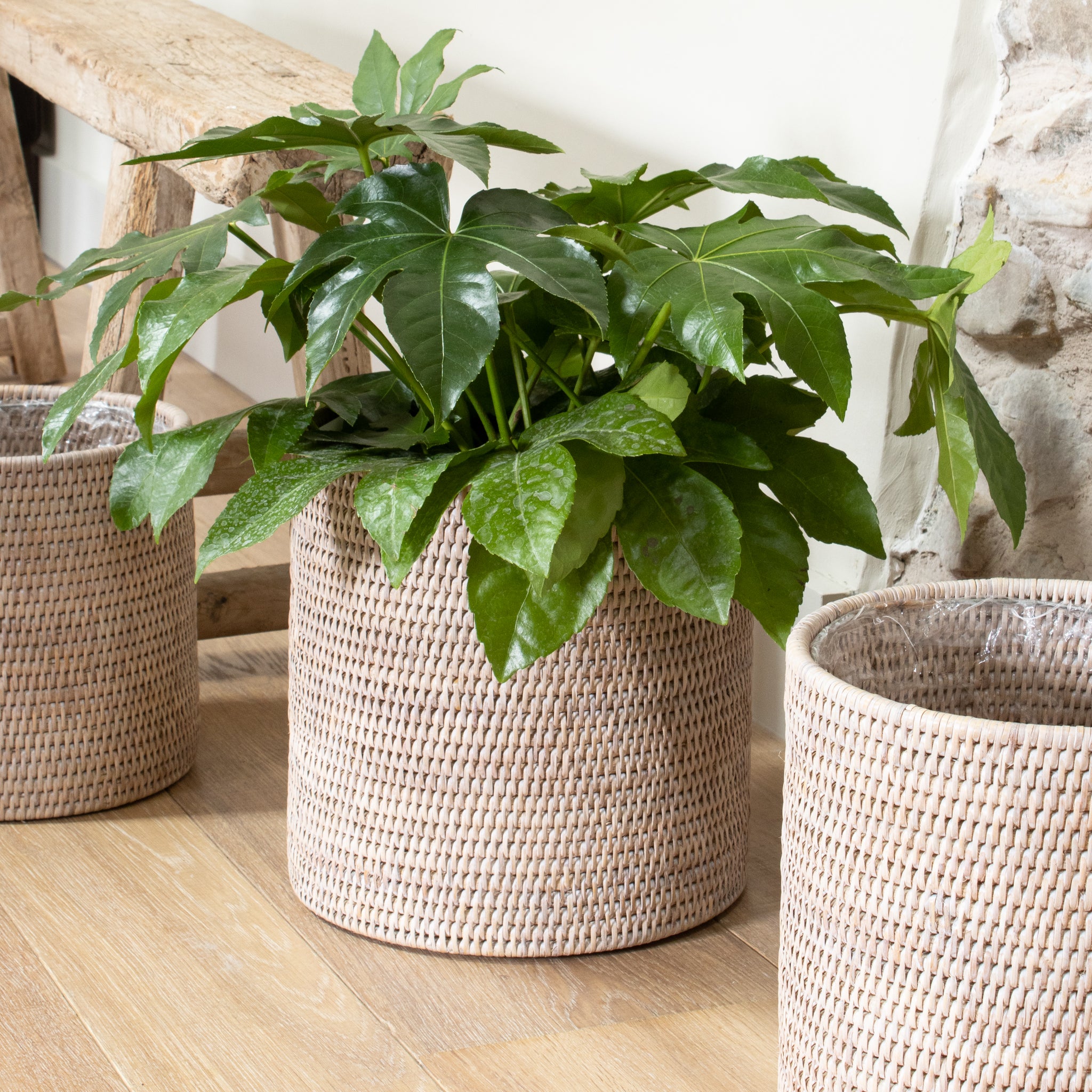 small wicker plant pots Marbury Round Rattan Planter