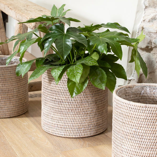 wicker plant stands indoor uk Marbury Round Rattan Planter