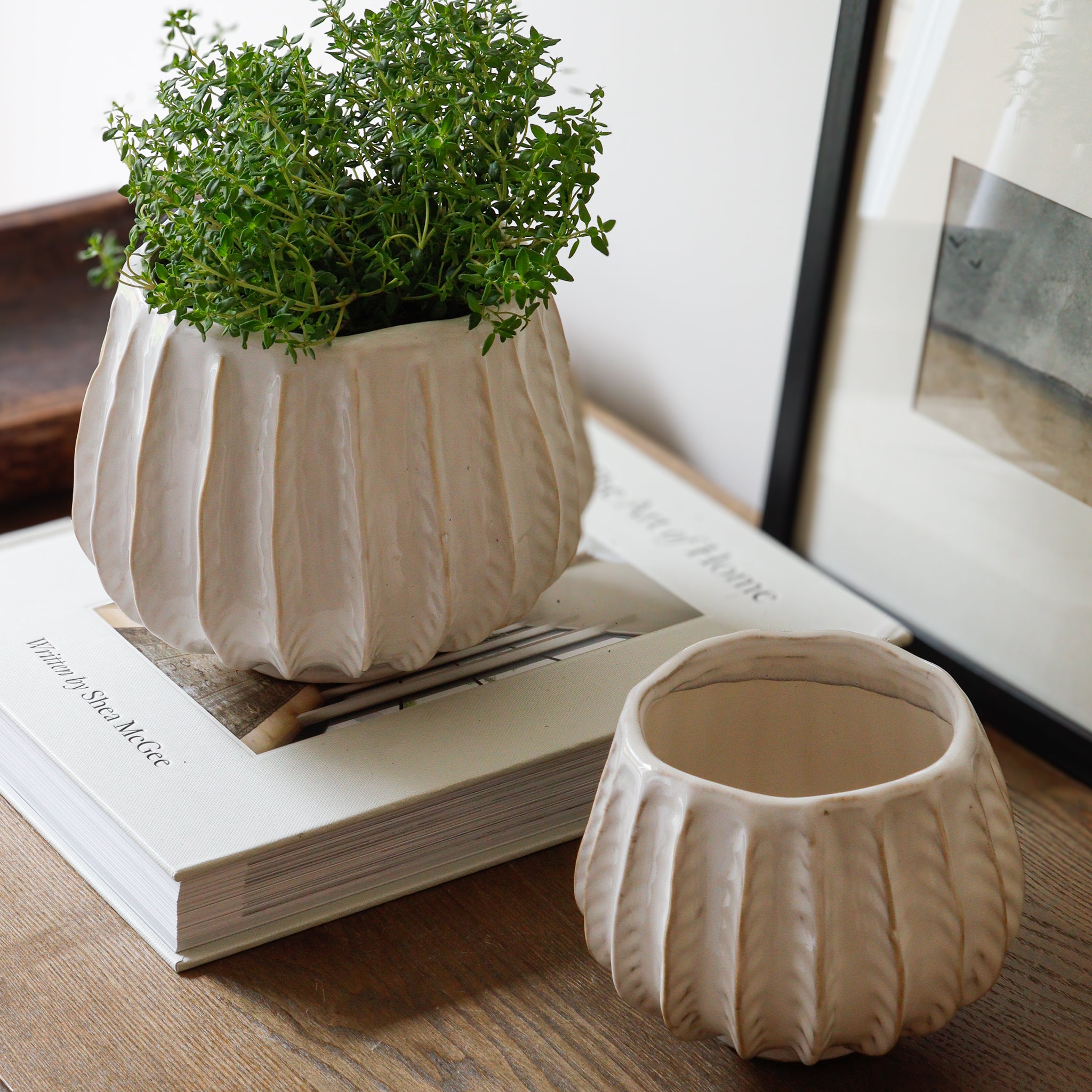Natural and White Ribbed Ceramic Plant Pot