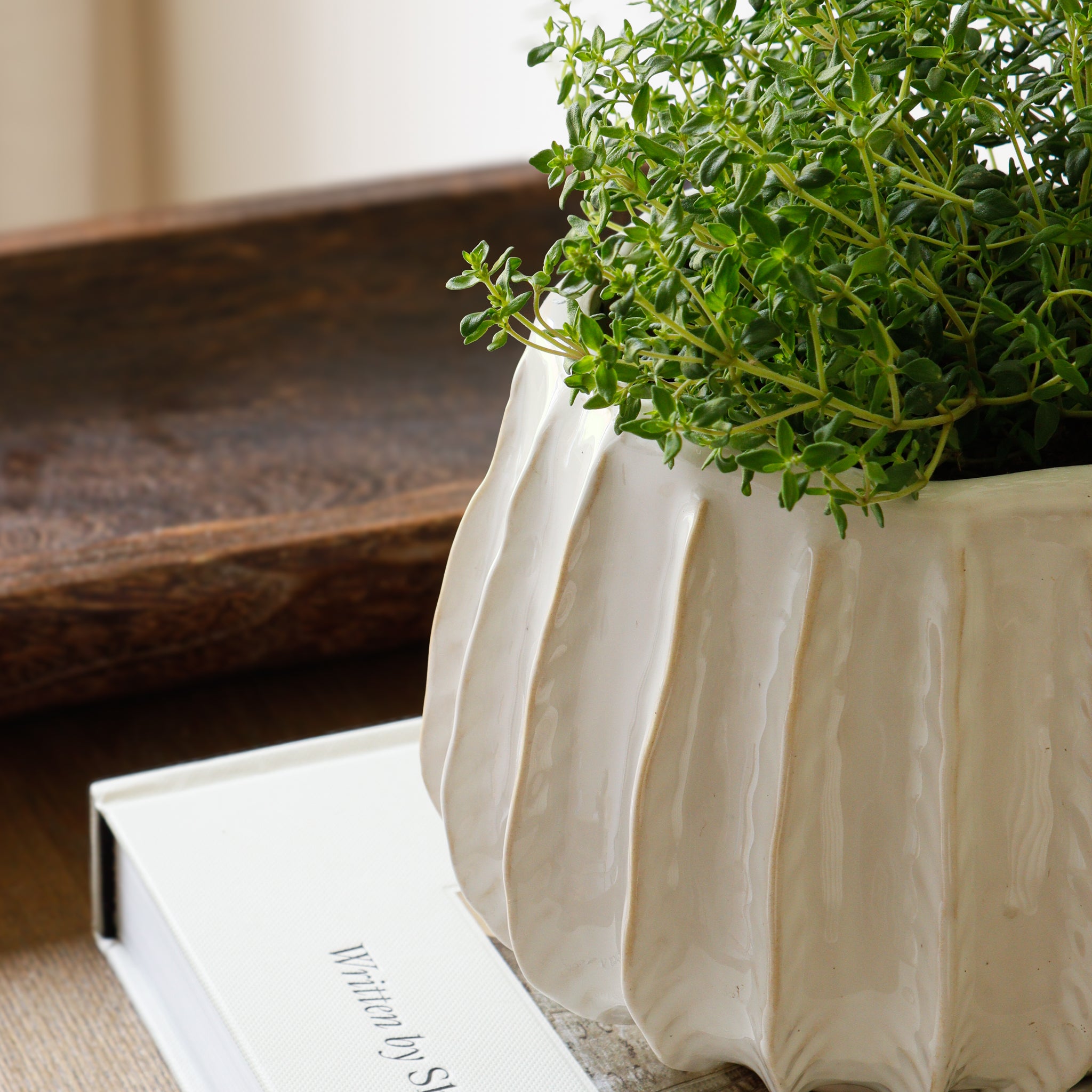 Natural And White Ribbed Ceramic Plant Pot Marquis Dawe Natural And White Ribbed Ceramic Plant Pot Marquis Dawe