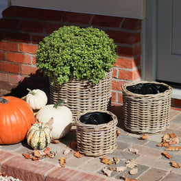 Natural Round Rattan Planter