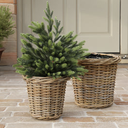 Round Rattan Planter