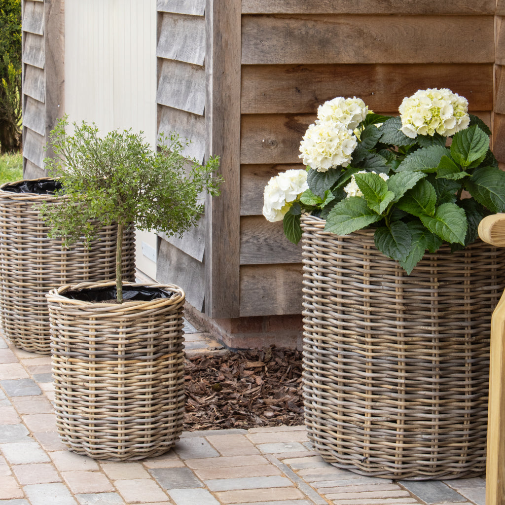 wicker pot plant Round Rattan Planter With Curved Base