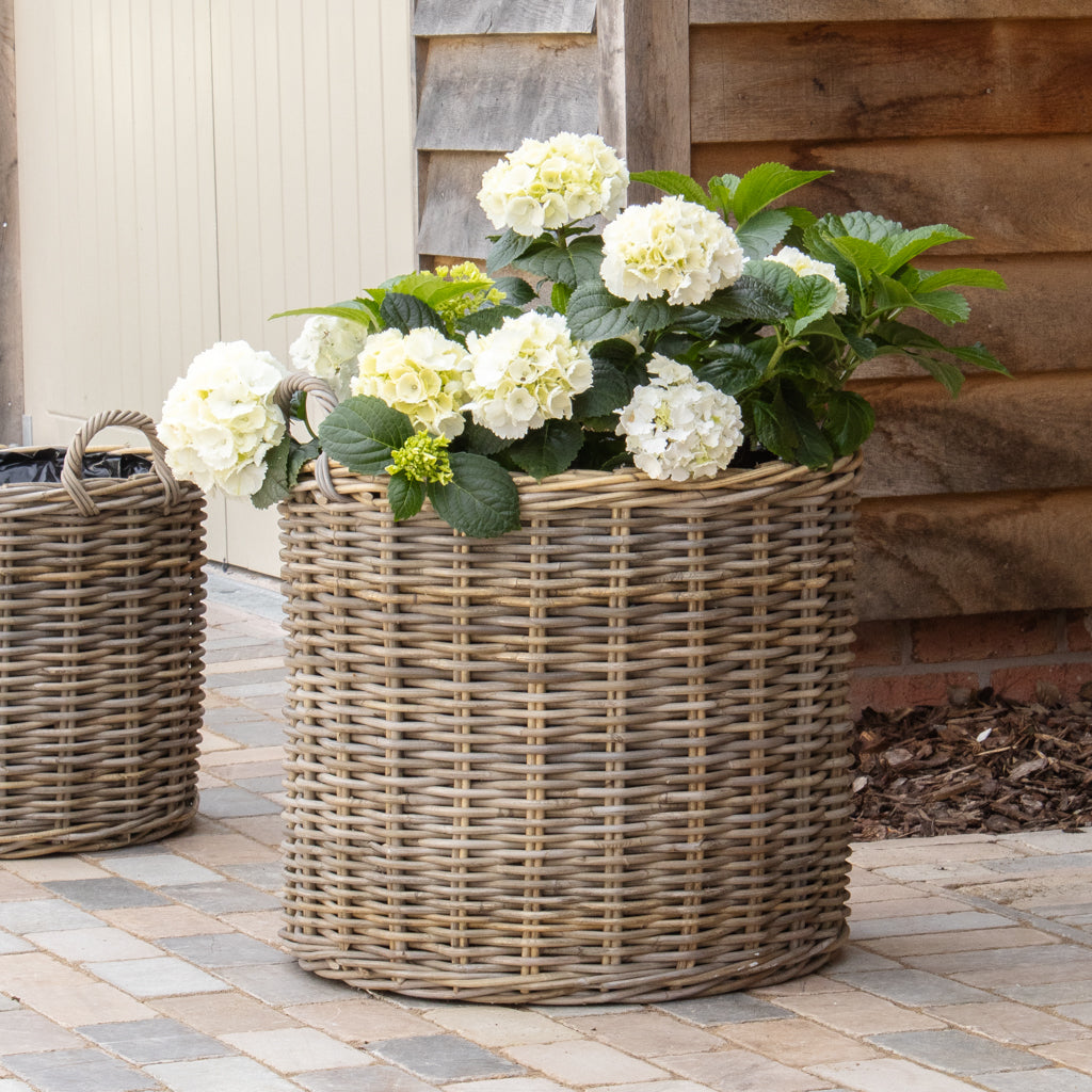 Large Round Rattan Planter With Handles - Marquis & Dawe