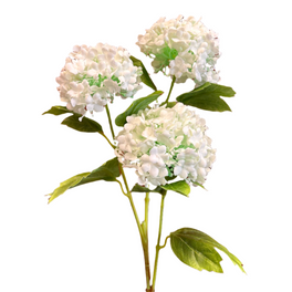 Sample Sale Faux Viburnum