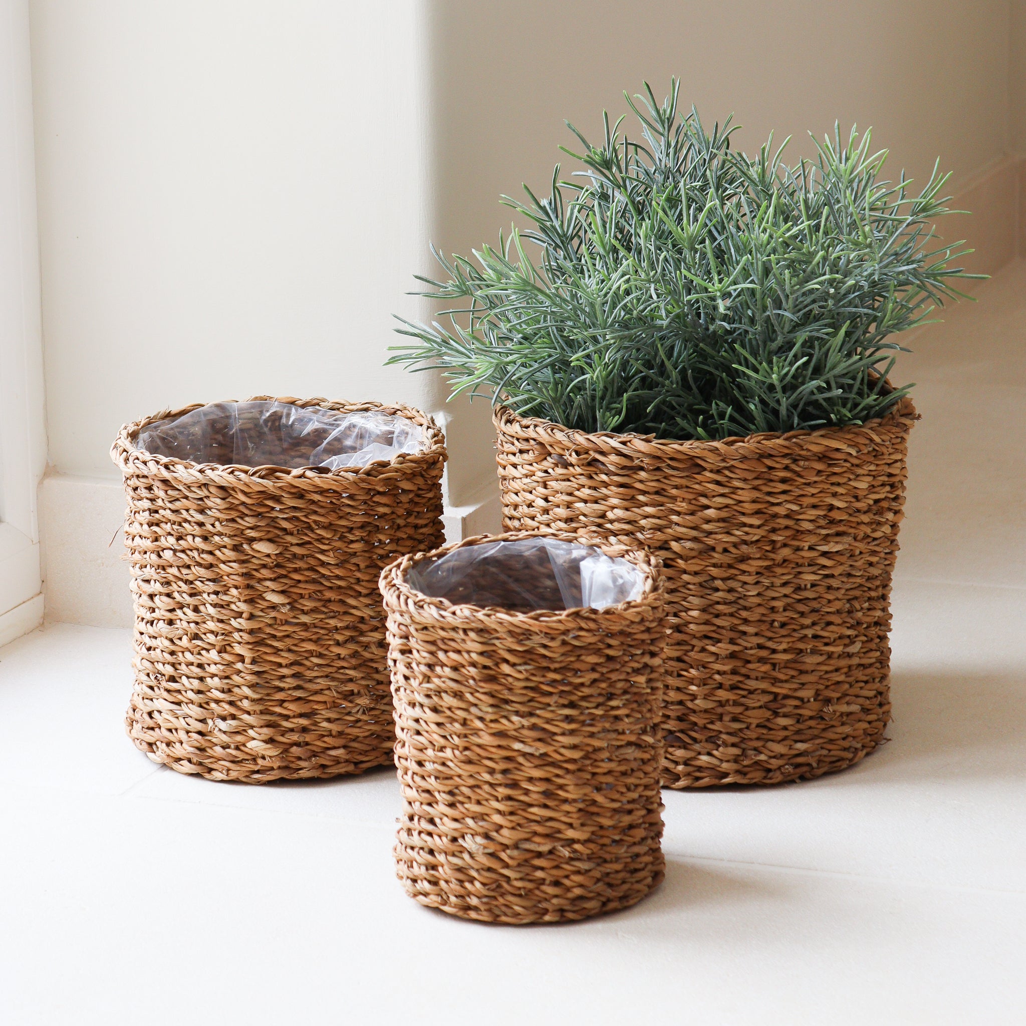 small seagrass plant pot Natural Seagrass Plant Pot