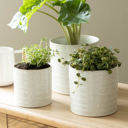 White Speckled Ceramic Plant Pot